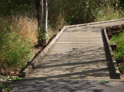 Paved trail transitions to boardwalk with edge protection